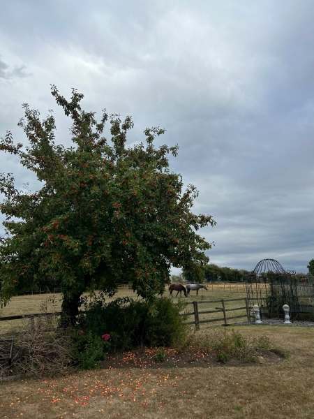 Landown Farm